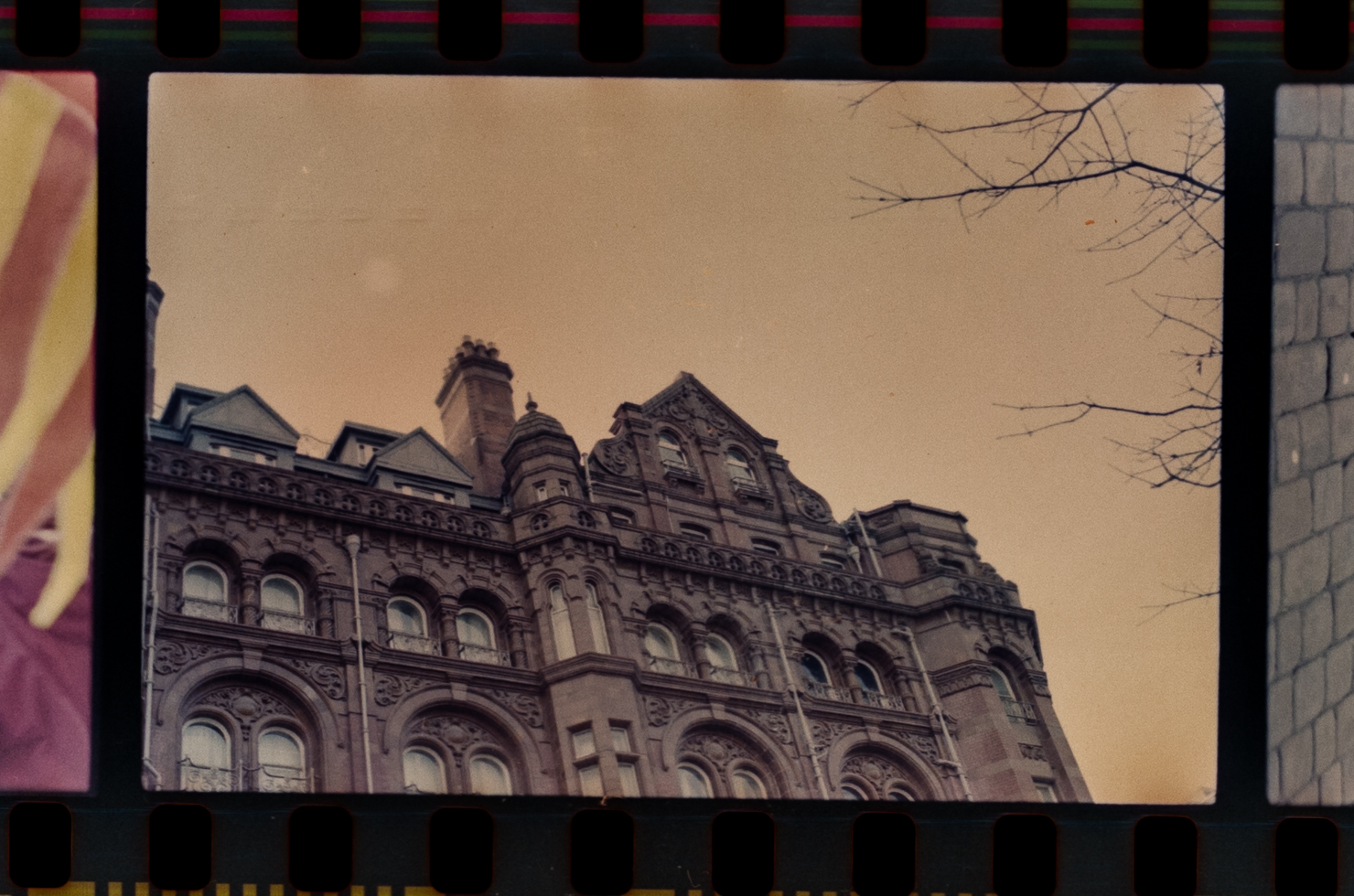 Another bad photo of a film scan